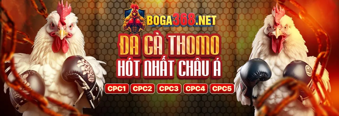 Cá cược thể thao sôi động tại one88 info